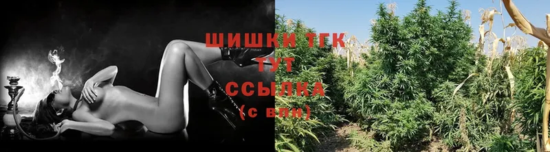 Шишки марихуана THC 21%  где можно купить   Волгореченск 